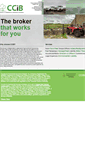 Mobile Screenshot of ccibltd.net