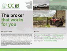 Tablet Screenshot of ccibltd.net